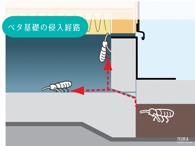 ベタ基礎のシロアリ侵入経路