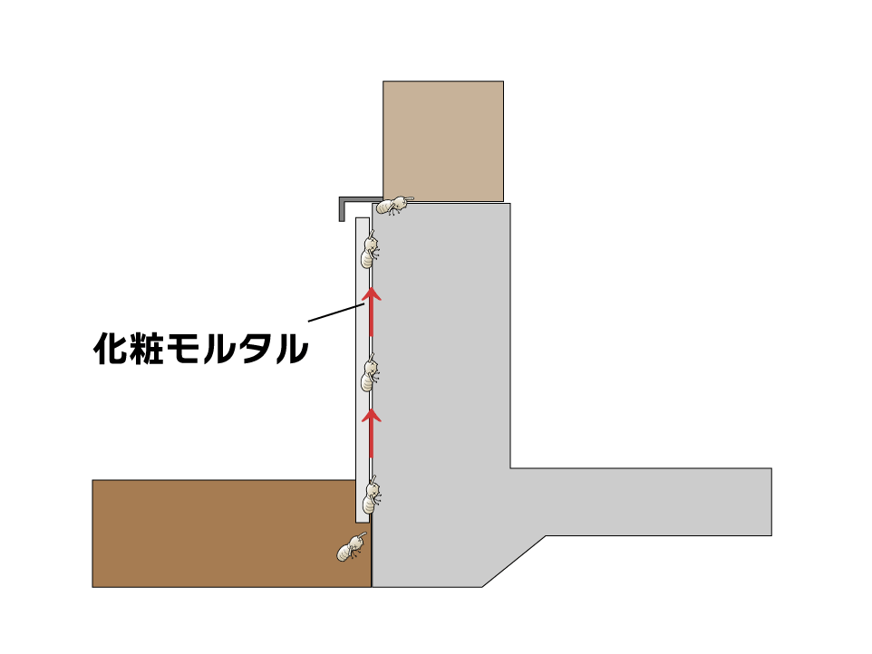 化粧モルタルの侵入経路