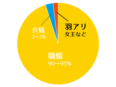 シロアリの羽アリの割合