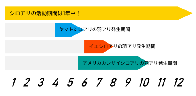 シロアリの羽アリの発生期間
