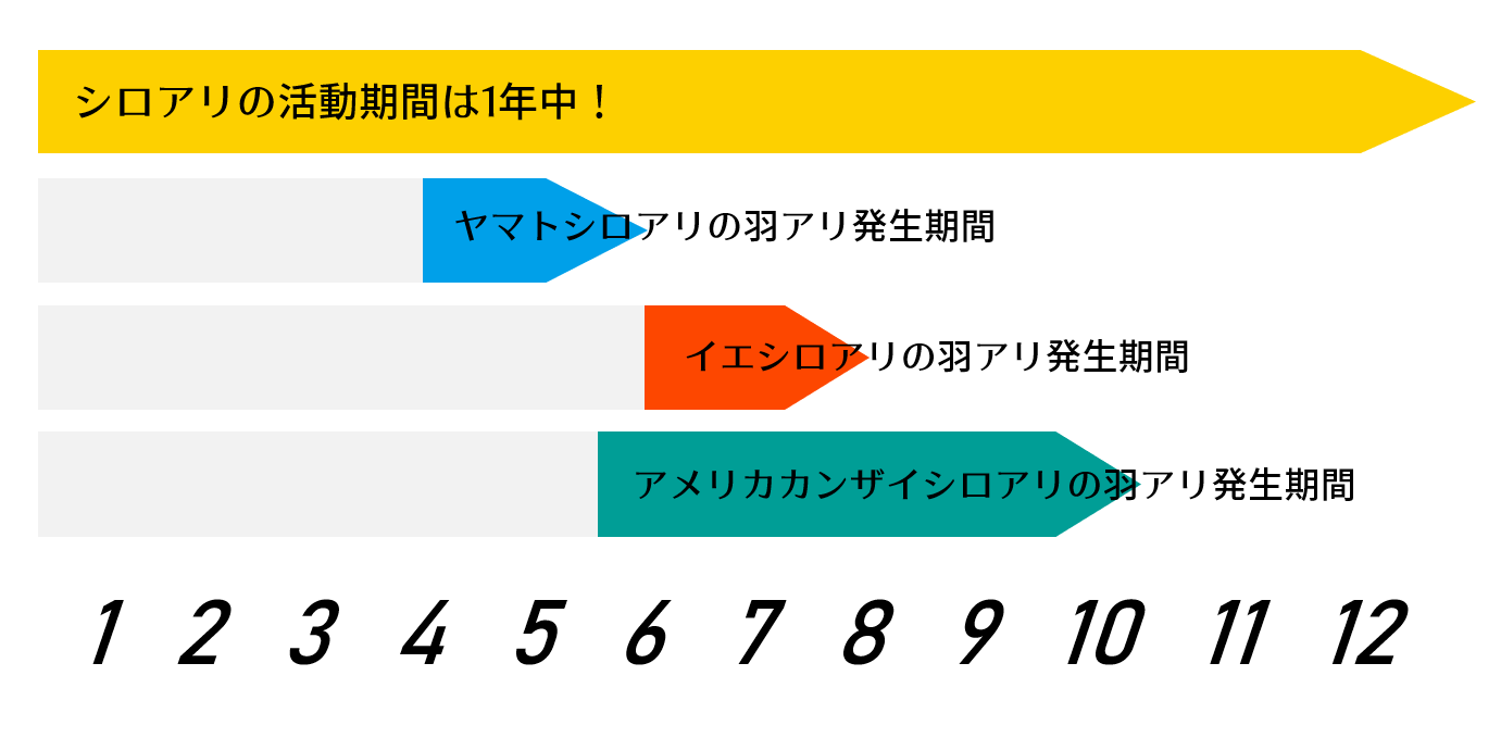 シロアリの羽アリの発生期間