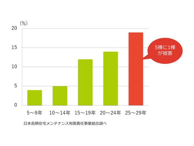 シロアリ予防は何年おきにするのがいいの 5年ごとが正解です シロアリ1番 シロアリ予防は何年おきにするのがいいの 5年ごとが正解です シロアリ1番