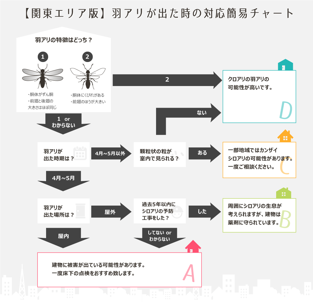 羽蟻フローチャート