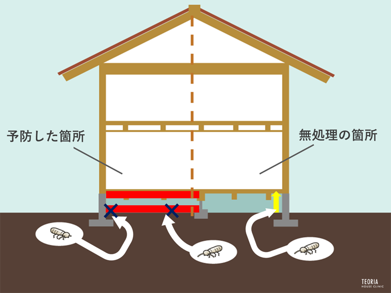 シロアリ防除無処理と処理済みの違い