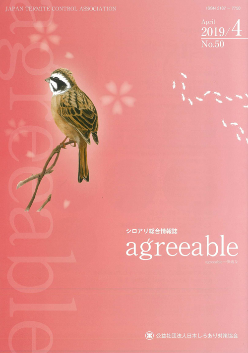 agreeable50号