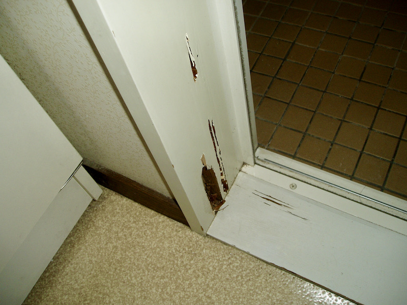 浴室ドア枠の被害