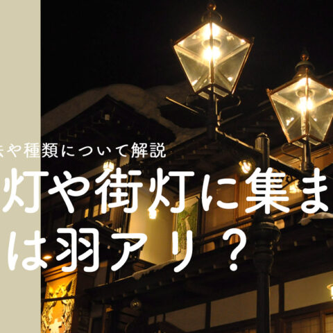 コラムタイトル