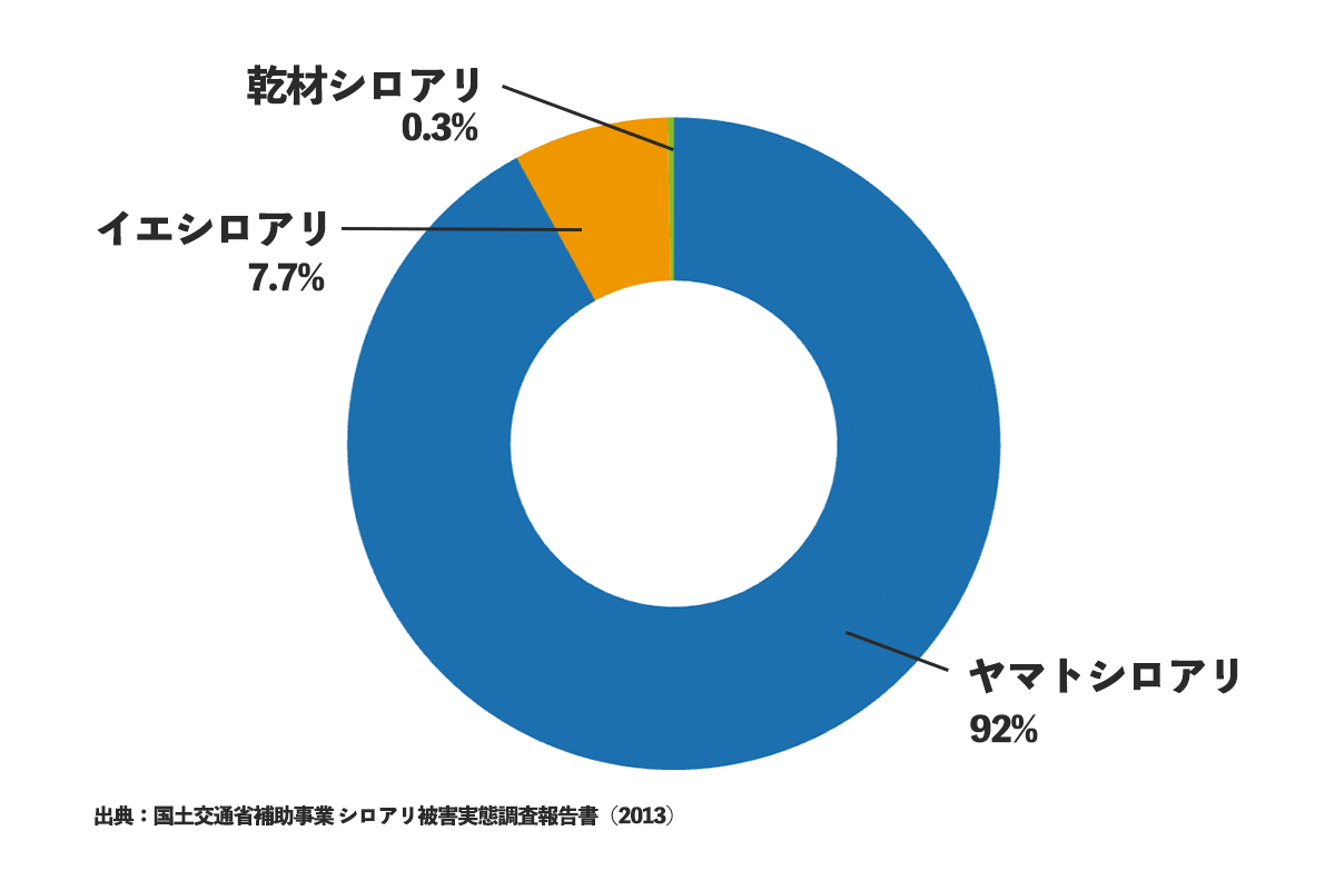 シロアリ被害の割合