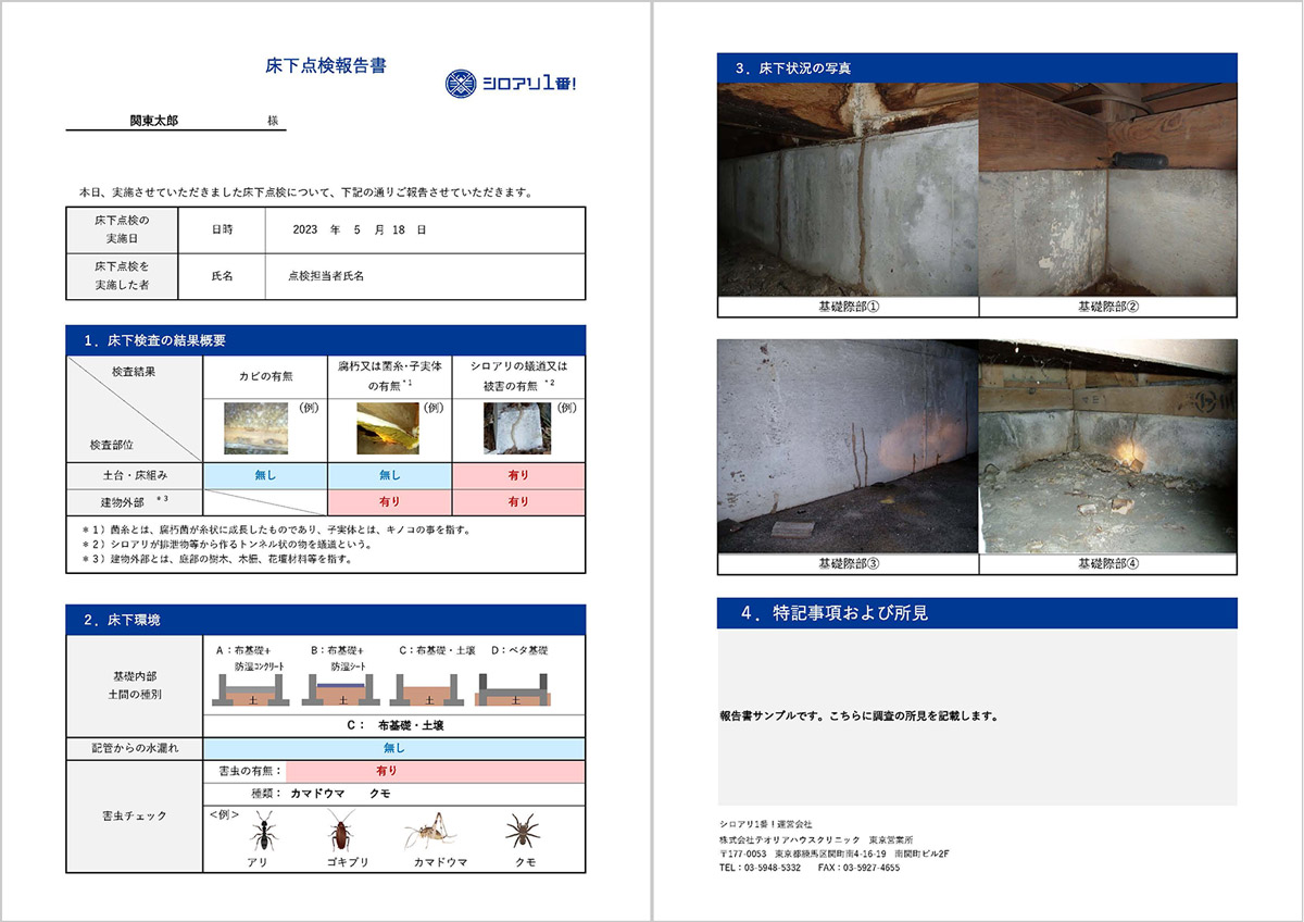 シロアリ調査報告書