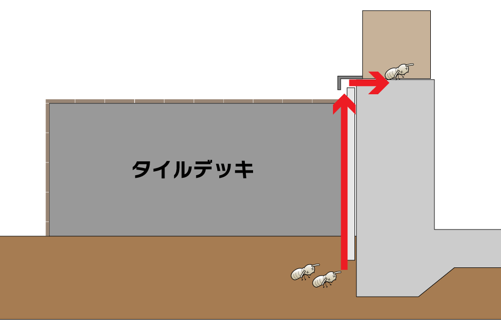 タイルデッキのシロアリの侵入経路